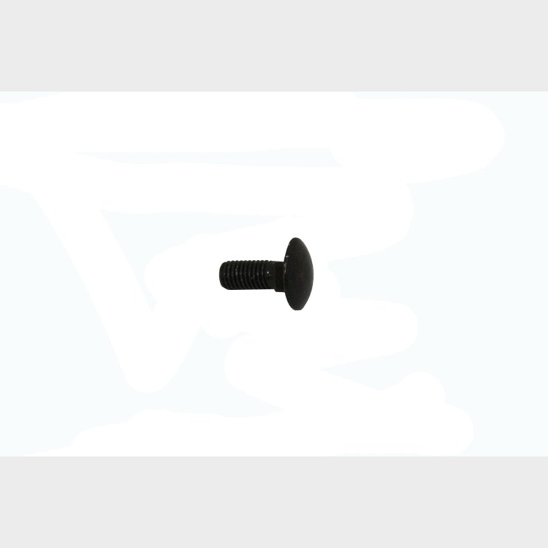 10X25 MM BRDDEBOLT ELZINK.