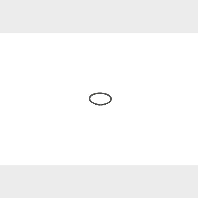 LSERING UDV. 48 MM. DIN 471