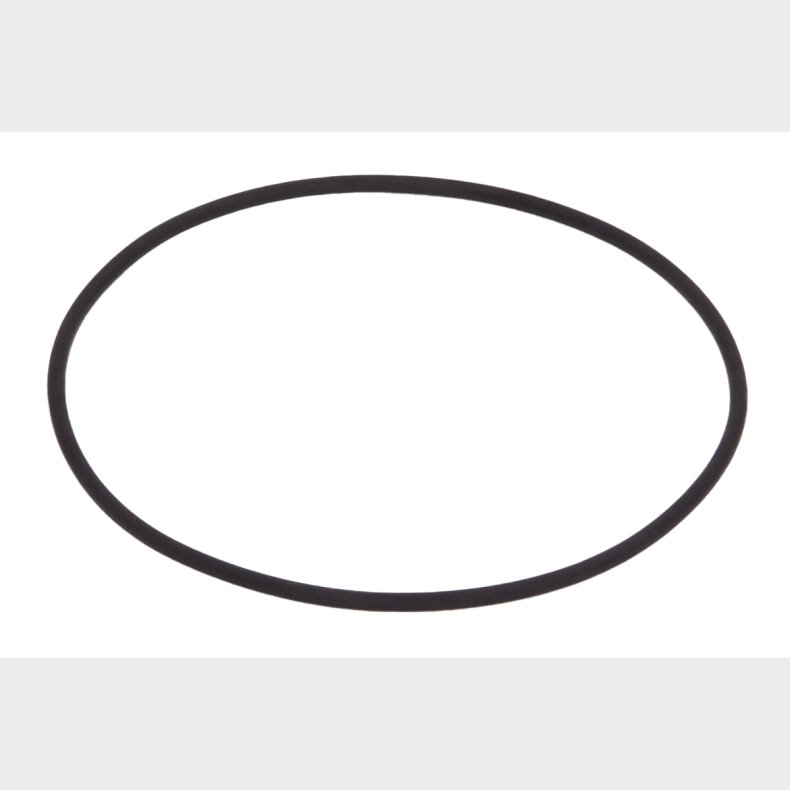 O-RING DKSELTTNING 20/50
