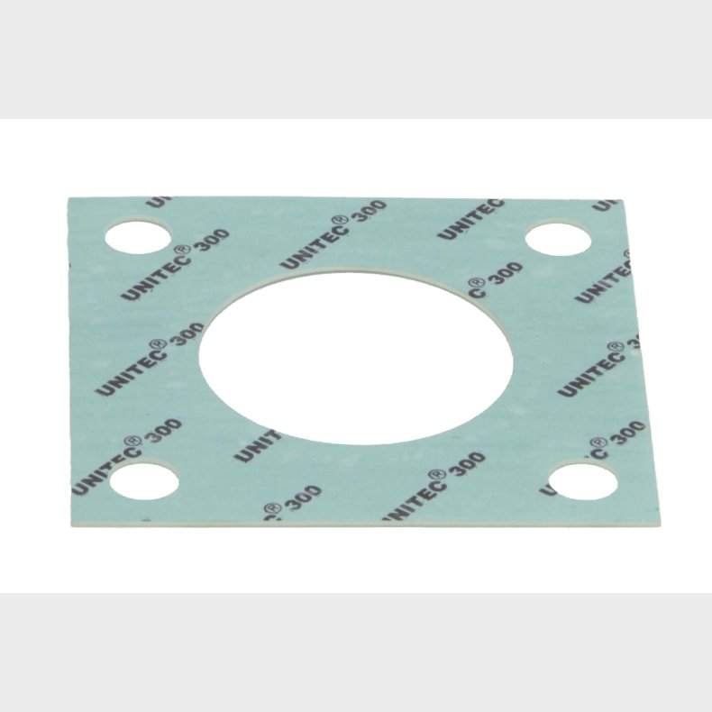 PAKNING FOR FLANGE TURBINE/TOPRR