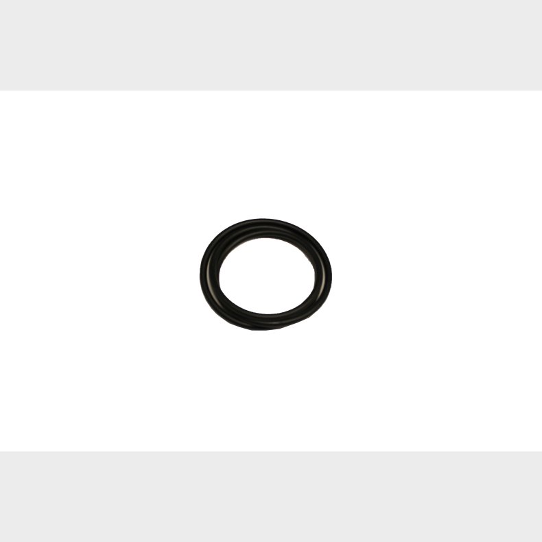 O RING